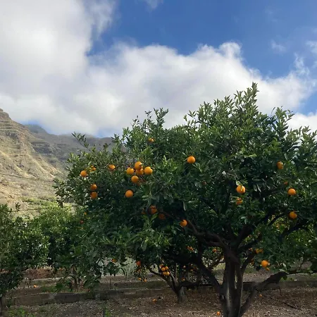 Casa Camino Tamadaba Ii * Agaete (Gran Canaria)