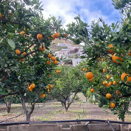 Apartment Casa Camino Tamadaba Ii Agaete (Gran Canaria)