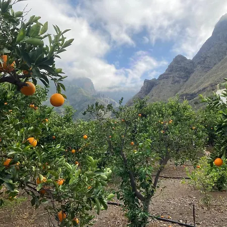 Apartment Casa Camino Tamadaba Ii Agaete (Gran Canaria)