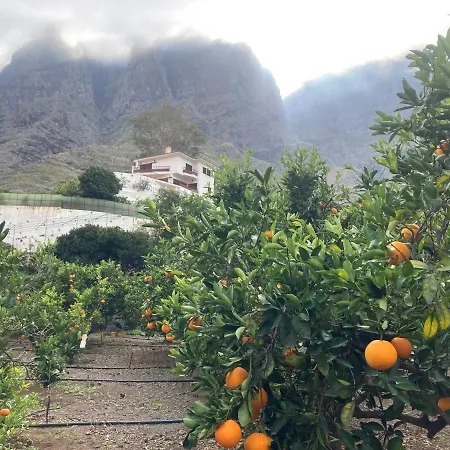 Casa Camino Tamadaba Ii Apartment Agaete (Gran Canaria)