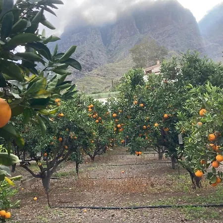 Casa Camino Tamadaba Ii Agaete (Gran Canaria)