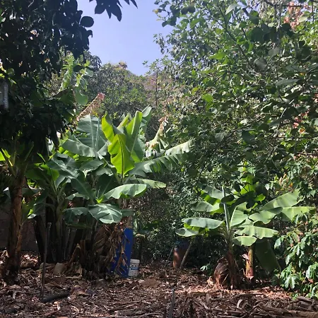 Apartment Casa Camino Tamadaba Ii Agaete (Gran Canaria)