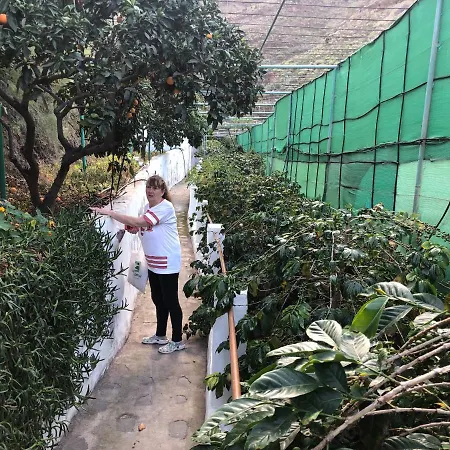 Casa Camino Tamadaba Ii