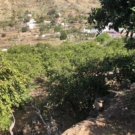 Casa Camino Tamadaba Ii Apartment Agaete (Gran Canaria)