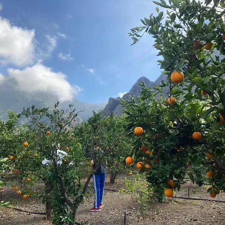 Casa Camino Tamadaba Ii Apartment *