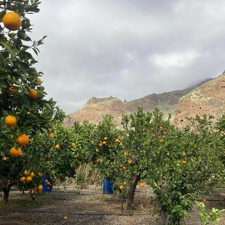 Casa Camino Tamadaba Ii