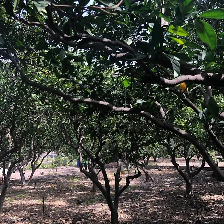 Casa Camino Tamadaba Ii * Agaete (Gran Canaria)