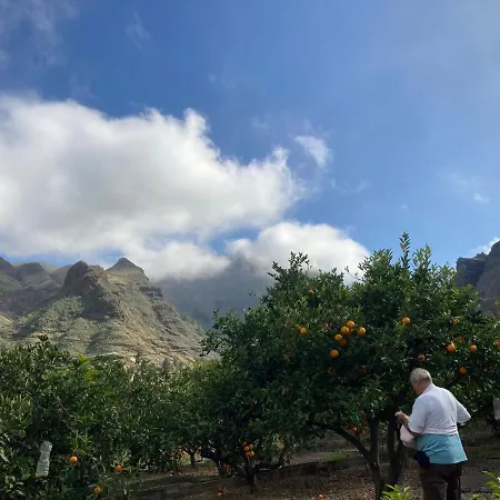 Casa Camino Tamadaba Ii Apartment *