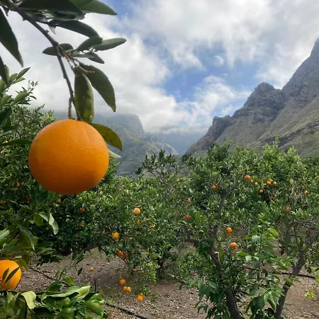Apartment Casa Camino Tamadaba Ii *