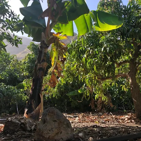 Casa Camino Tamadaba Ii Apartment