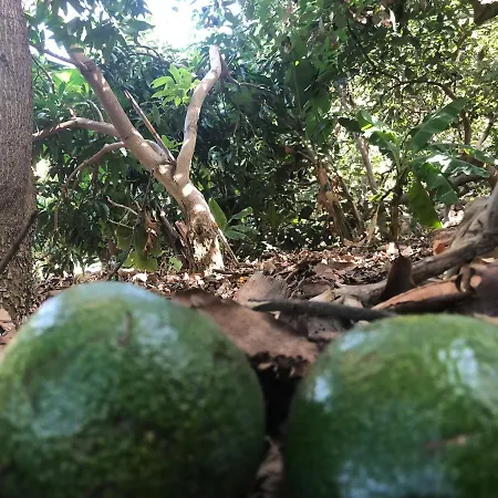 Apartment Casa Camino Tamadaba Ii Agaete (Gran Canaria)