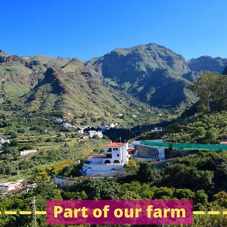 Apartment Casa Camino Tamadaba Ii Agaete (Gran Canaria)