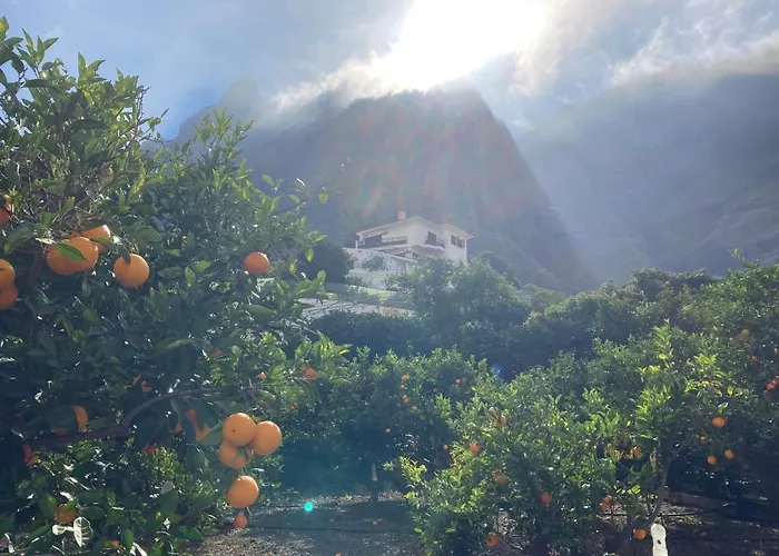 公寓 Casa Camino Tamadaba Ii *