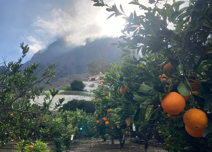 Casa Camino Tamadaba Ii *