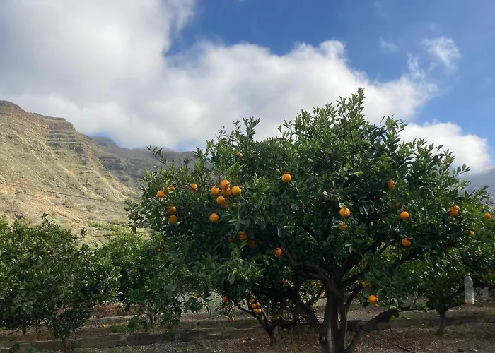 Casa Camino Tamadaba Ii * 阿格特