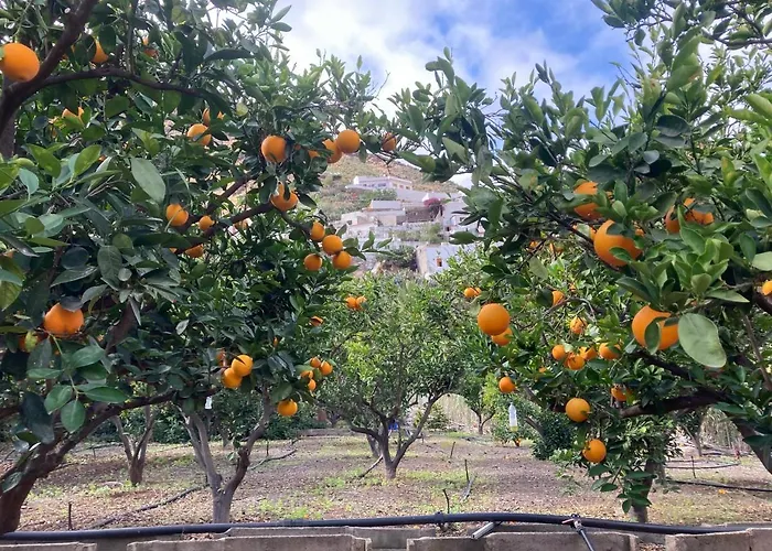 公寓 Casa Camino Tamadaba Ii 阿格特