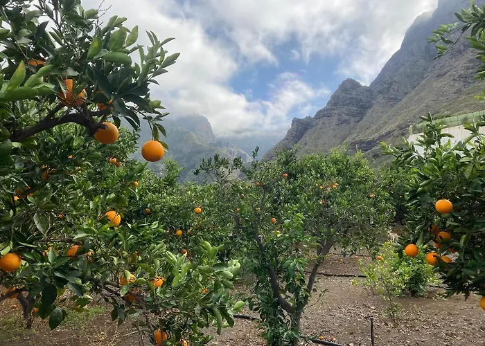 公寓 Casa Camino Tamadaba Ii 阿格特