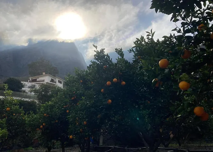 公寓 Casa Camino Tamadaba Ii 阿格特