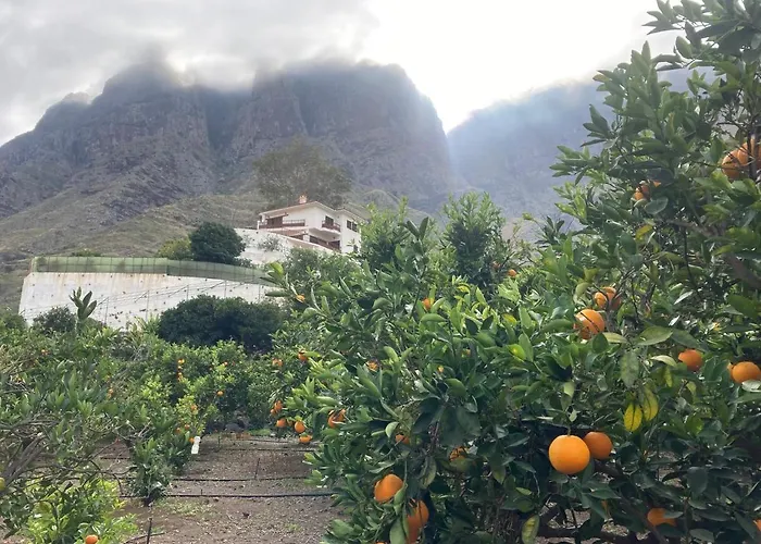 公寓 Casa Camino Tamadaba Ii 阿格特