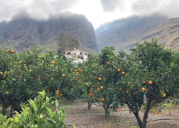 Casa Camino Tamadaba Ii 公寓