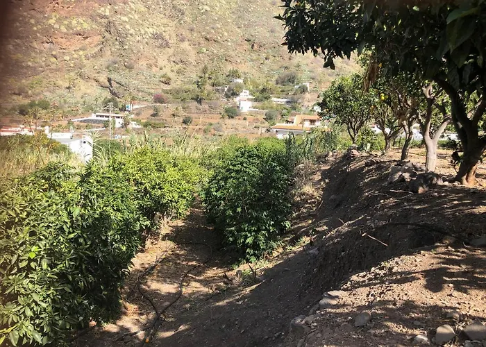 Casa Camino Tamadaba Ii