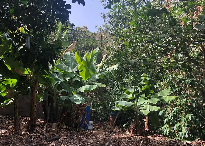 公寓 Casa Camino Tamadaba Ii 阿格特