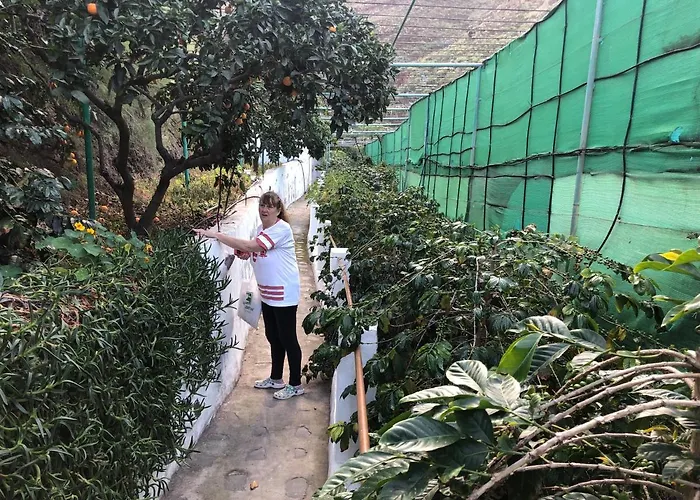 Casa Camino Tamadaba Ii