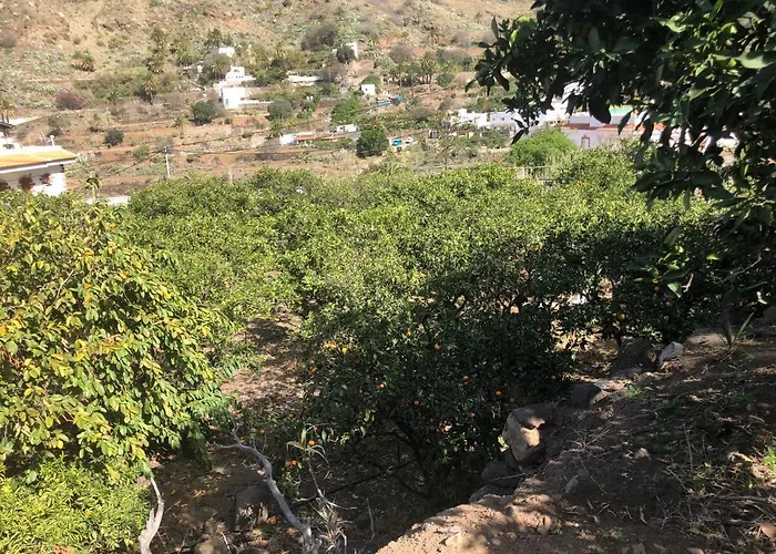 Casa Camino Tamadaba Ii 公寓 阿格特