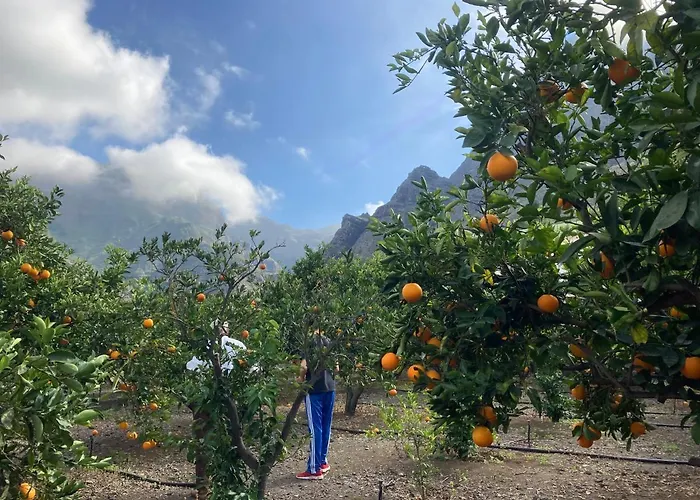 Casa Camino Tamadaba Ii 公寓 *