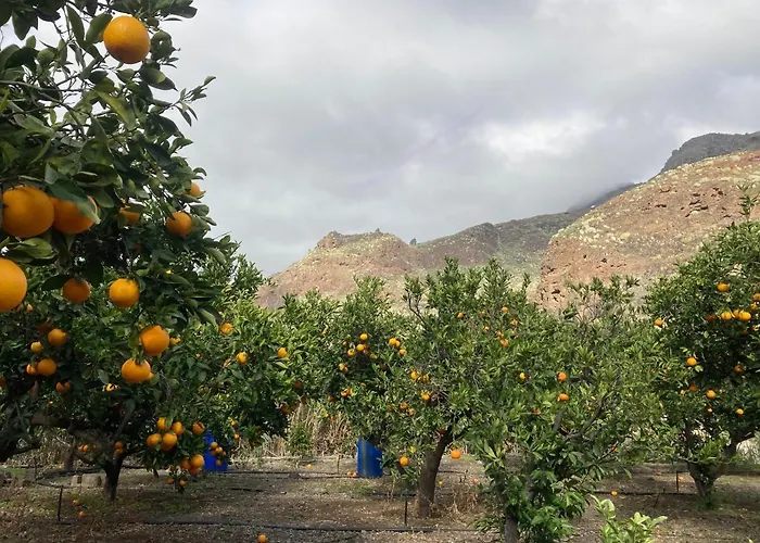 Casa Camino Tamadaba Ii