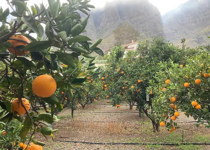 公寓 Casa Camino Tamadaba Ii