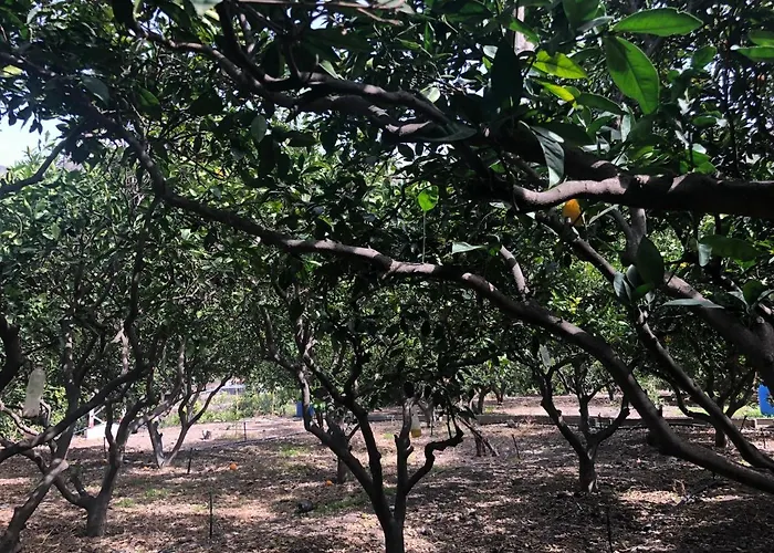 Casa Camino Tamadaba Ii * 阿格特