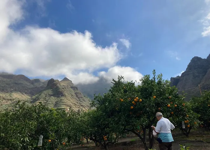 Casa Camino Tamadaba Ii 公寓 *