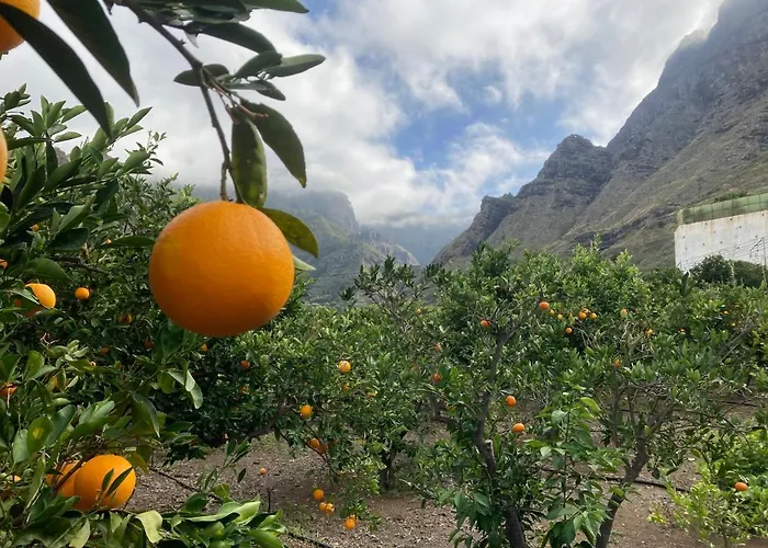 公寓 Casa Camino Tamadaba Ii *